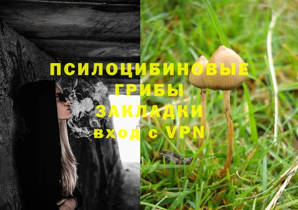 марки lsd Абаза